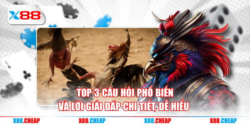 Top 3 câu hỏi phổ biến và lời giải đáp chi tiết, dễ hiểu